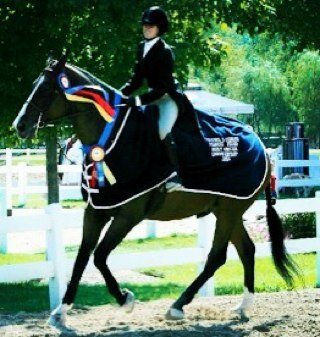 you can find me on an OTTB in the jumper ring