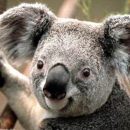 mathiscool123's profile picture. 