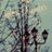 december_rp's profile image