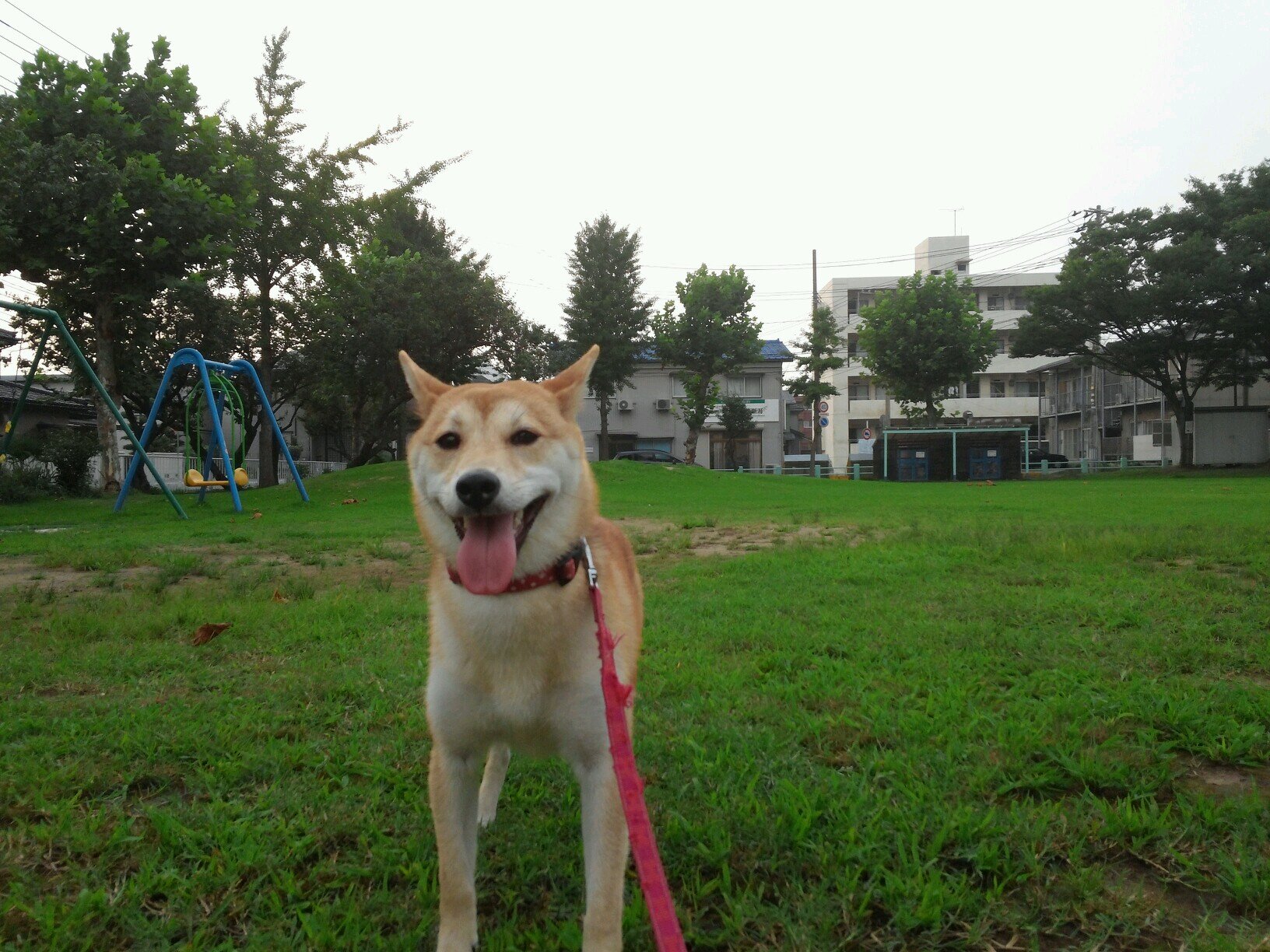 misskihachi's profile picture. 