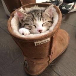 とってもかわいい天使たちがあなたにむけて色んな表情を見せながら時々舞いおります。このかわいい画像たちで皆様がすこしでも癒されたら幸いです♪かわいいと感じてくださった方はＲＴ＆フォローして下さい！♡