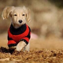 AellaAgape's profile picture. A loving heart is the beginning of all knowledge.