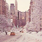 FranziTori's profile picture. нєяє'ѕ тσ тнє ∂αмиє∂, тσ тнє ℓσѕт αи∂ fσяgσттєи ♡