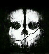 | Semiprofessional COD Player | Plataforma PS3          | Actualmente F/A |
