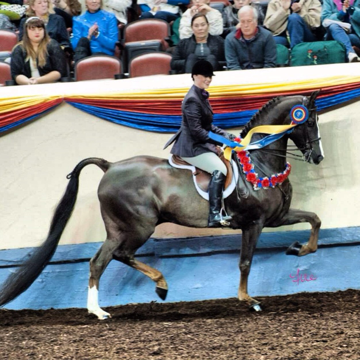 laurenfoy1's profile picture. 