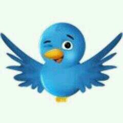 I FOLLOW BACK
