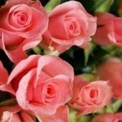 shaimaaalturahy's profile picture. 