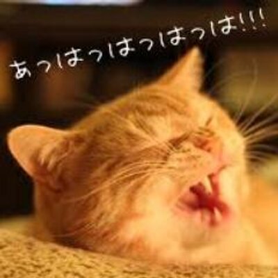 吹いた画像 Baku Www Twitter
