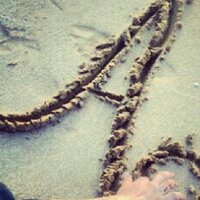 مصاص عيور (@abe_7op) Twitter profile photo