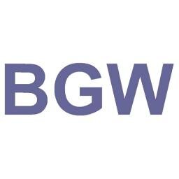 BGW_AG's profile picture. Management Advisory Group
