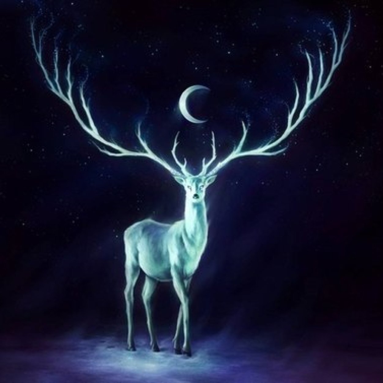 Xenis604's profile picture. 