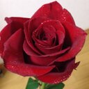 misa (@0313_miir) Twitter