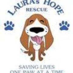 Lauras_Hope's profile picture. We are a 501c3 dog rescue located in the Susquehanna mountains.