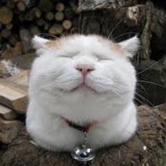 思わず笑顔になる名言と画像をツイートします(*^^*)
