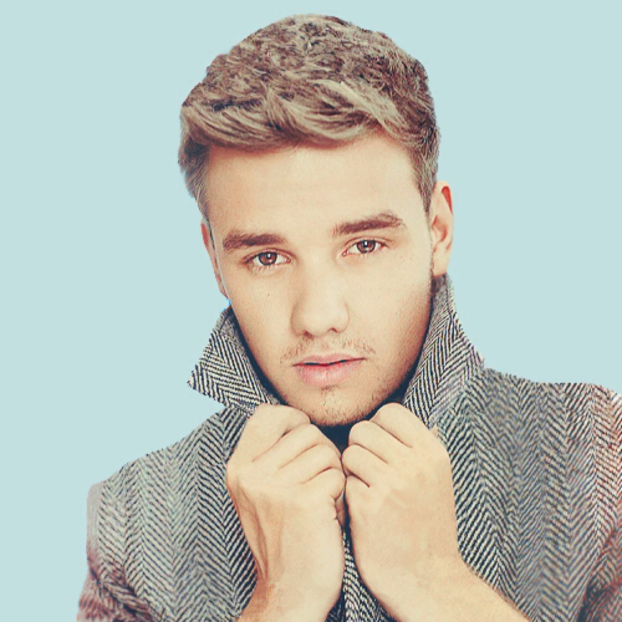 amo o one direction