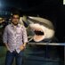 Gerardo Gómez (@_geragomez) Twitter profile photo Gerardo Gómez (@_geragomez) Twitter profile photo