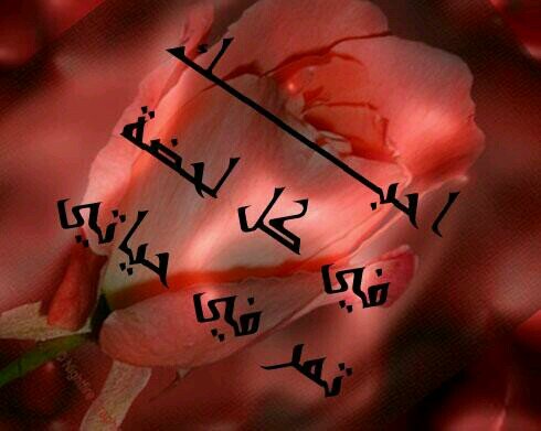 العرق