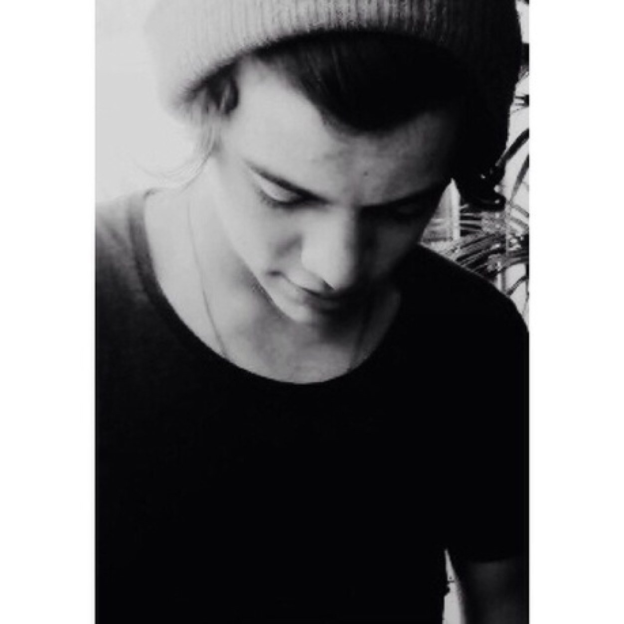 harry | 19 | single | bisex