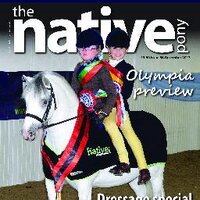 The Native Pony (@thenativepony) 's Twitter Profile Photo