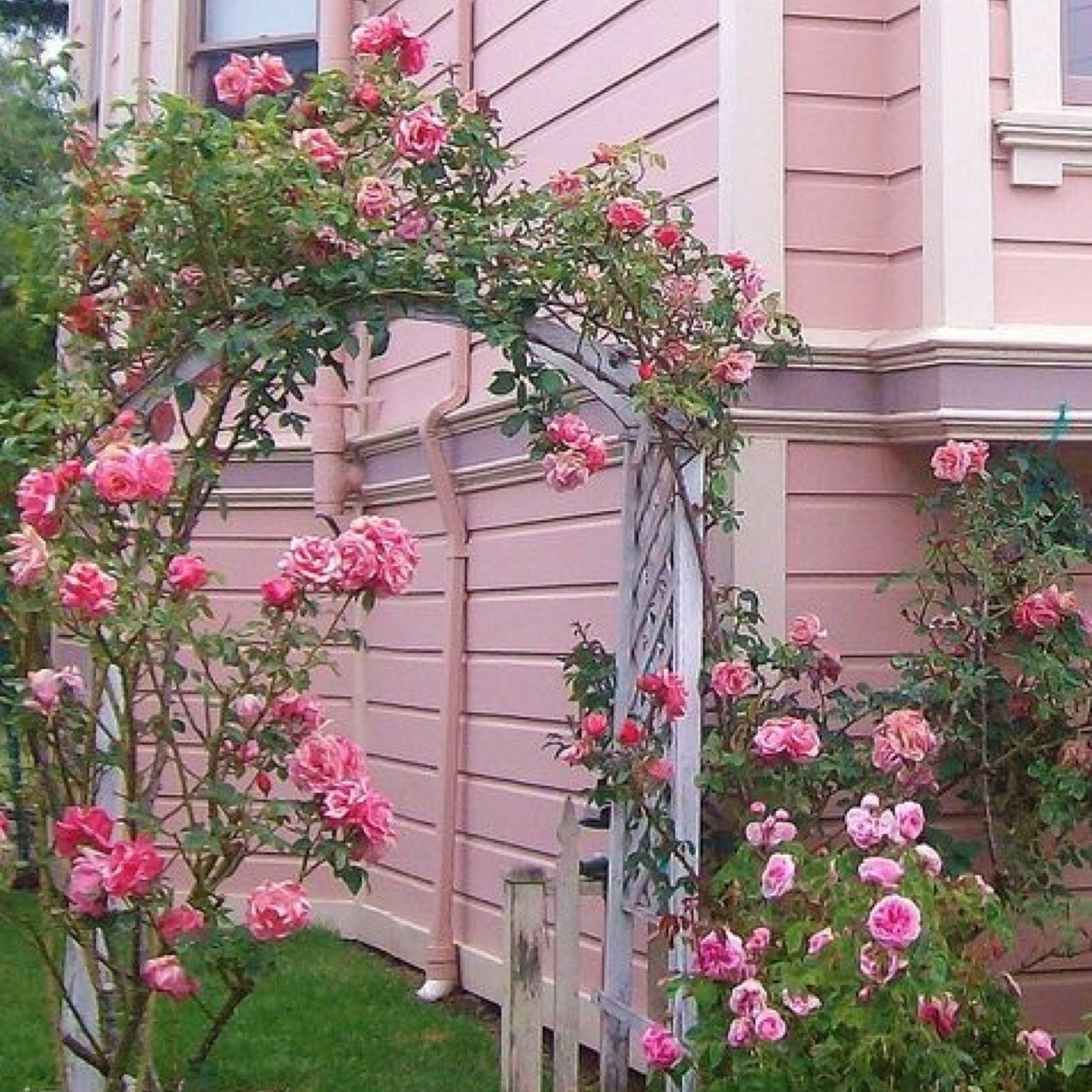 _imaahaa's profile picture. 