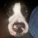 lisa wedel - @wedel_lisa - Twitter