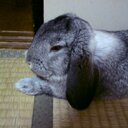 たのち (@1015Tanochi) Twitter