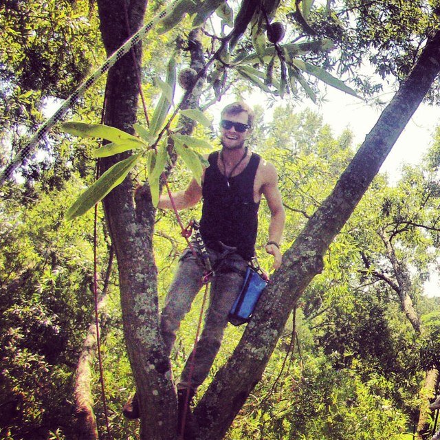 Designer, Arborist, Permaculturalist