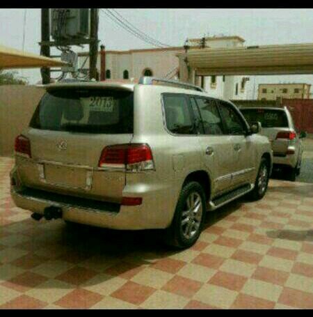 trfd101's profile picture. 