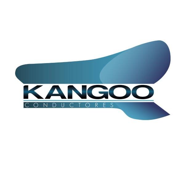 Servicio de CONDUCTORES ELEGIDOS Nit. 900687951_2 WA: 3014393971