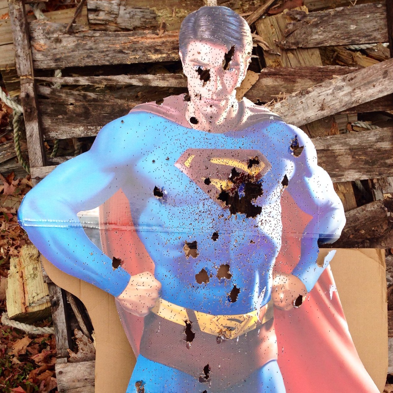 AvsNut238's profile picture. New Yorker! Diehard AVS fan!! Pitbull owner! Dangle, Snipe, Celly!! Thats what I do!!!