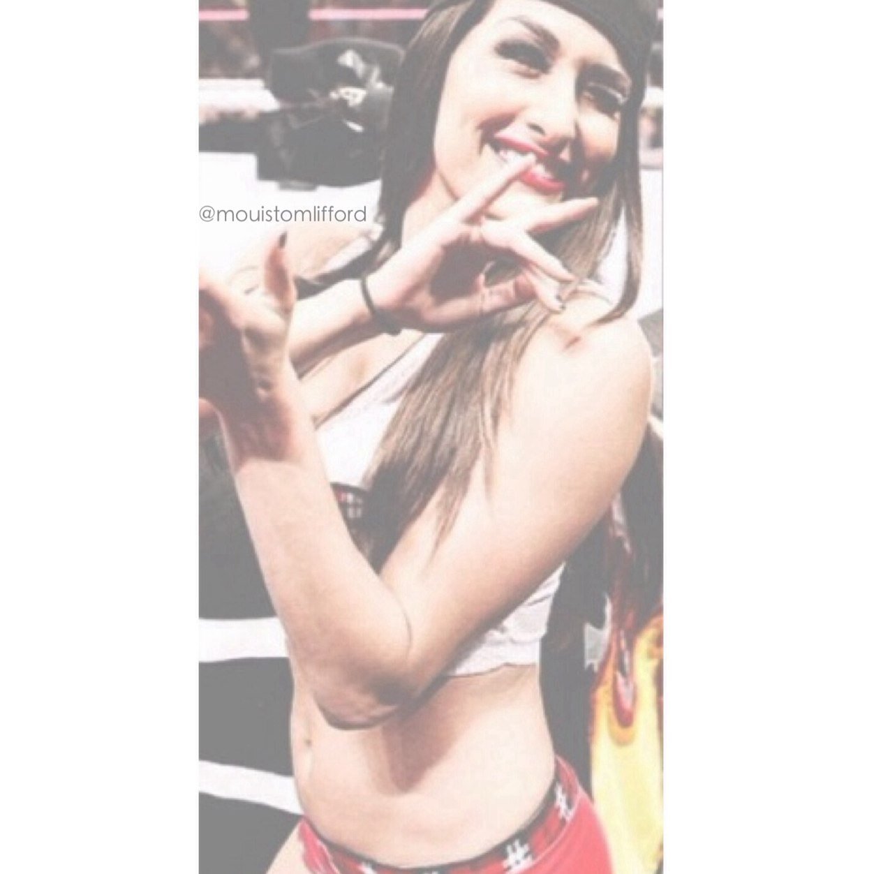 Supporting possibly the best divas to step foot in WWE. // The Bella Twins & Aj Lee.