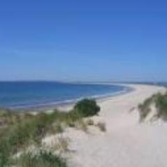 charlesKramer11's profile picture. Betting sports 40 years profitably. MLB picks based on type of pitcher groundball or flyball.  NFL-CFB picks are based on my own power ratings.