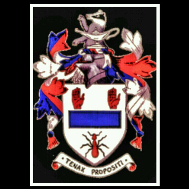 BAFCUpdates's profile picture. The official Ballymena Academy Football Club Twitter account. LTF Champions 13/14. Currently on holiday. For business enquiries and bookings, contact @Robbb__.