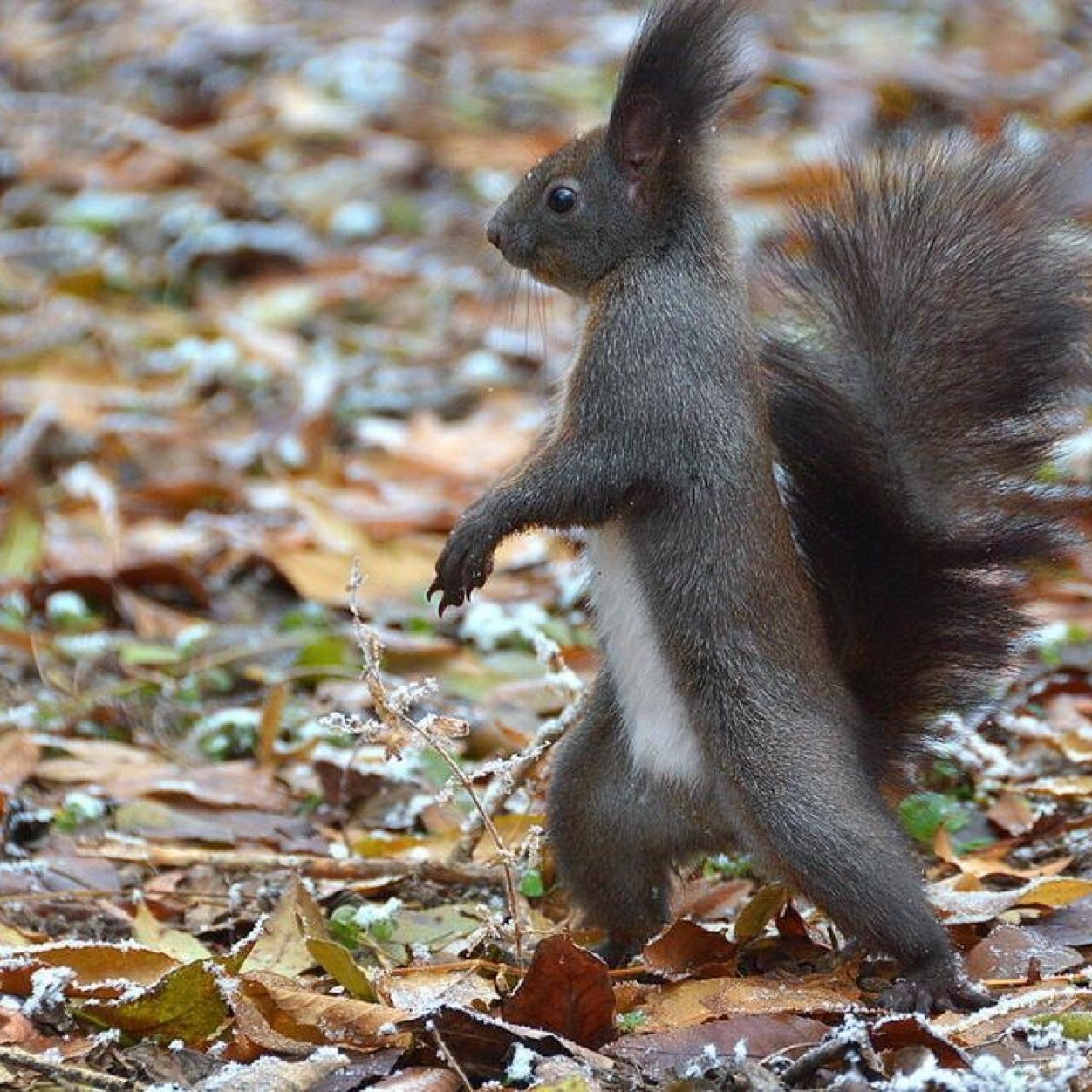 kondratovde's profile picture. ...