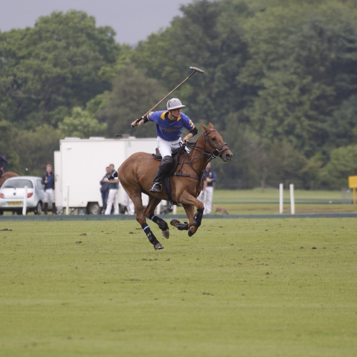 Polo manager at Surrey polo