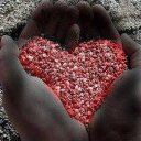 MIDO .ELSIEDY (@196315C) Twitter