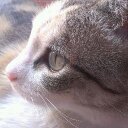 Noe Arenas - @NoeArenas85 - Twitter