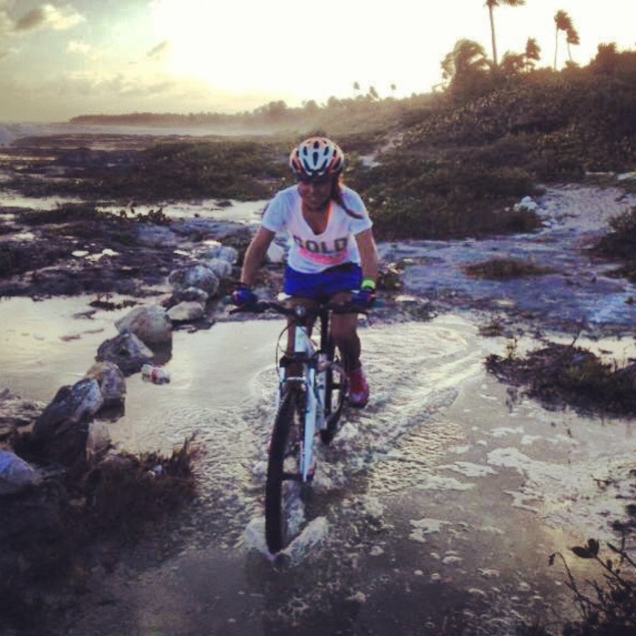 danybrh's profile picture. 