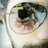 12_juanky's profile image