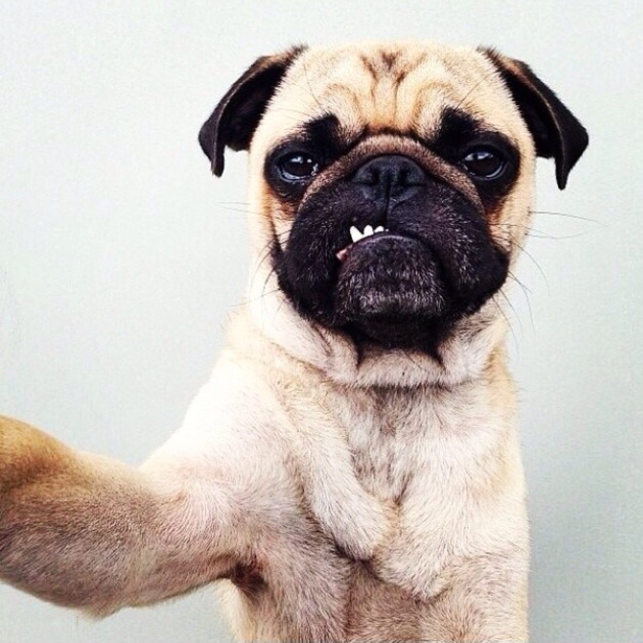 westgb's profile picture. 