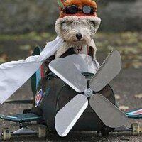The Kenyan Aviator (@kenyanaviator) 's Twitter Profile