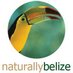 NaturallyBelize (@naturallybelize) Twitter profile photo