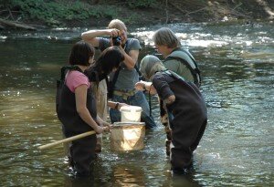 KnightCenter's profile picture. MSU’s Knight Center for Environmental Journalism teaches student and professional journalists how to better report on the world’s most important beat.