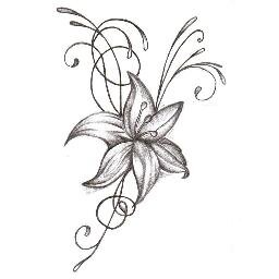 NaseemDates's profile picture. The best dates (fruit) in N America! visit our site for more info.