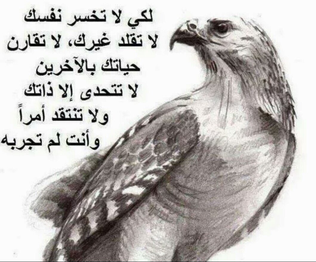 ‏نحن قوم لا توسط بيننا .لنا الصدر دون العالمين او القبر....بني همدان