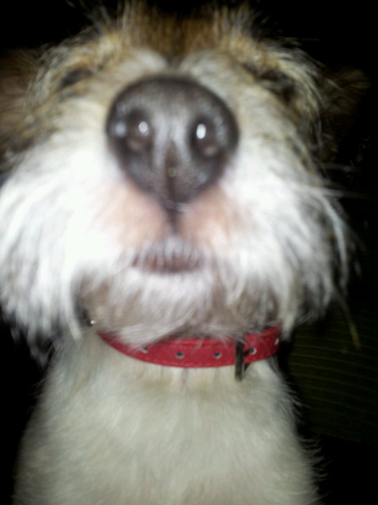 mrs_w_72's profile picture. 