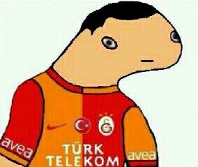 ma paece is 90, ma finishin is shet, i used tu haev drugba now i haev fakin nurdin el hamdoui