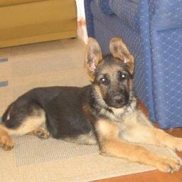 MatiasAcademia_'s profile picture. Aguante La Academia.