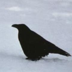 ravenさんのプロフィール画像
