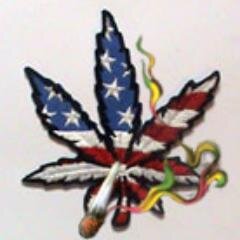 highinamerica's profile picture. I'm just an incredibly handsome* guy who likes to smoke a little** weed every once in a while***    |  horny* a lot** every day***